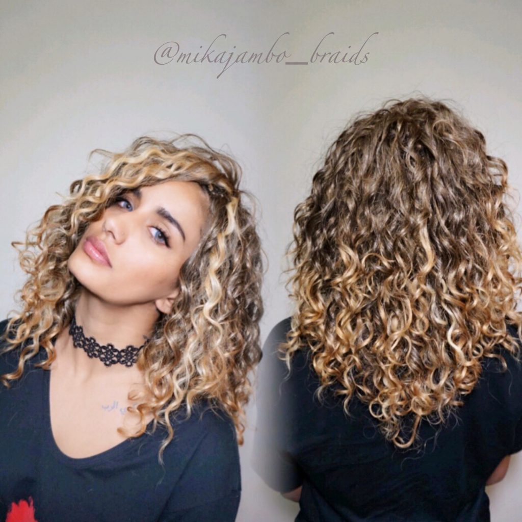 ボックス ブレイズ braids hairブラックヘアwig エボニー ウィッグ ブレイズウィッグ・特殊ヘアー|ポニーテールウィッグ通販店なら
